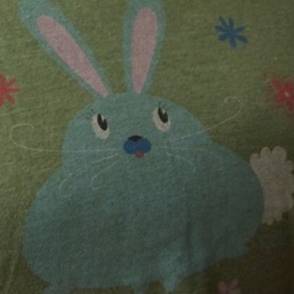 Vintage Cottontail Bunny Baby Tee Shirt Top Mossy Green Coquette Y2K Retro - Picture 7 of 7